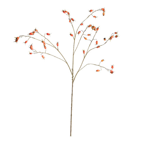 Botanica Rose Hip Branch (106cm) Botanica Rose Hip Branch (106cm)