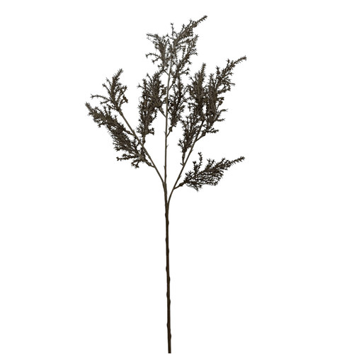 Brown Cosy Grass Spray (66cm) Brown Cosy Grass Spray (66cm)