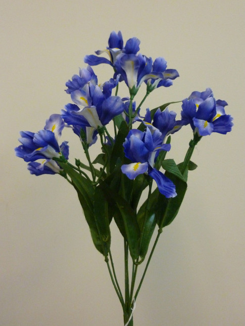 Blue Iris Bush (43cm)