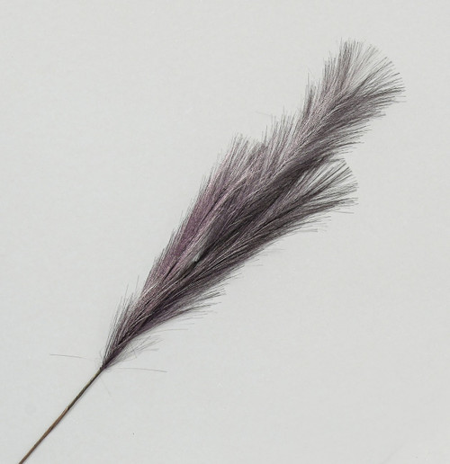 Pampas Grass Spray Purple (82cm)