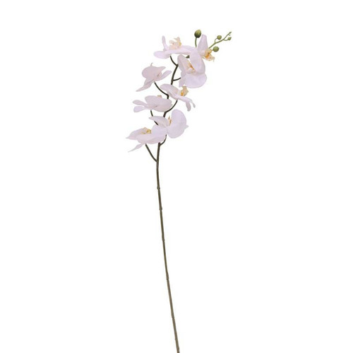34.5 Inch Rt Phalaenopsis Spray X 8 Flw White (12/96)