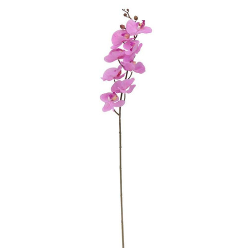 34.5 Inch Rt Phalaenopsis Spray X 8 Flw Pink (12/96)