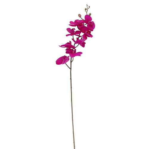 34.5 Inch Rt Phalaenopsis Spray X 8 Flw Cerise(12/96)