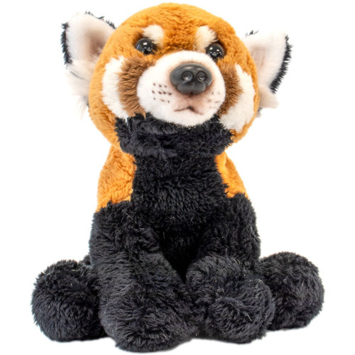Suki - Small Sitting Realistic Animal - Red Panda