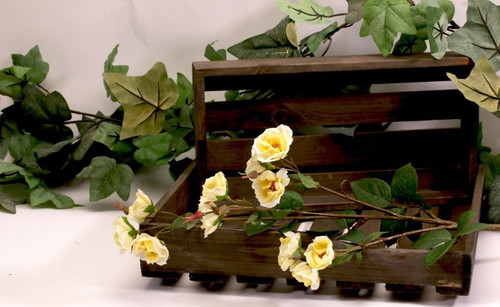 Wild Rose Spray Lemon (12/144)