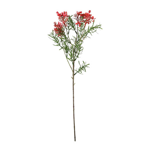 Essential Pink Broom Bloom (52cm)