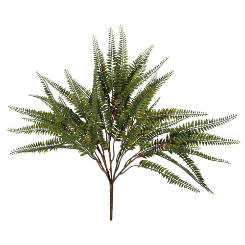 Exterior Junglist Fern Bush (51cm)