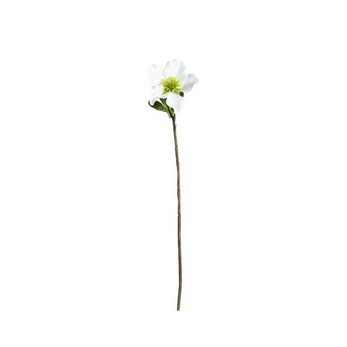Botanica White Rose (49cm)