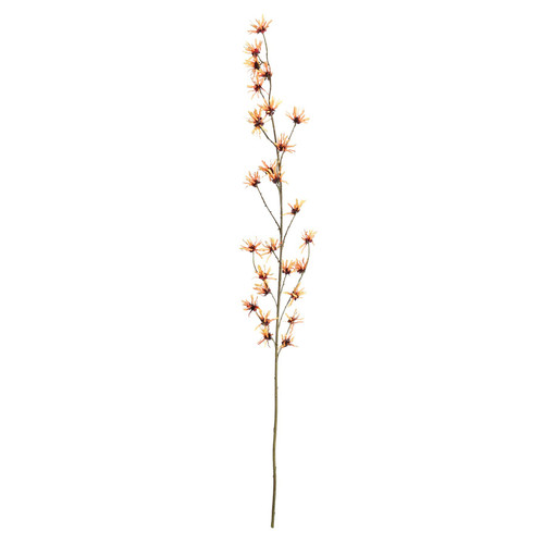 Botanica Orange Hamamelis Branch (153cm)