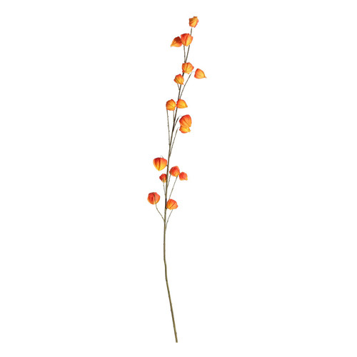 Botanica Orange Fruit Branch (144cm)