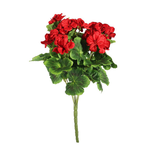Geranium Red Bush (15cm)