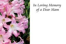 In Loving Memory Dear Mam Sympathy Card (x50)