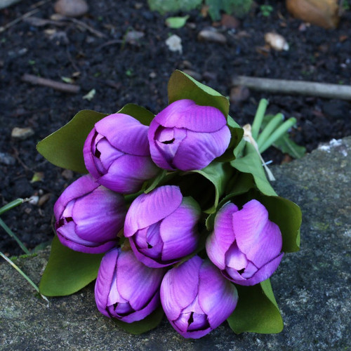 Tulip Bunch Purple (12/144)