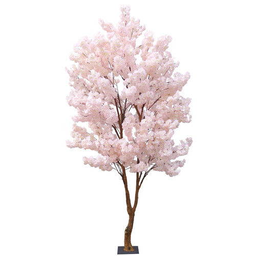 Light Pink Sakura Blossom Tree (2.8m)