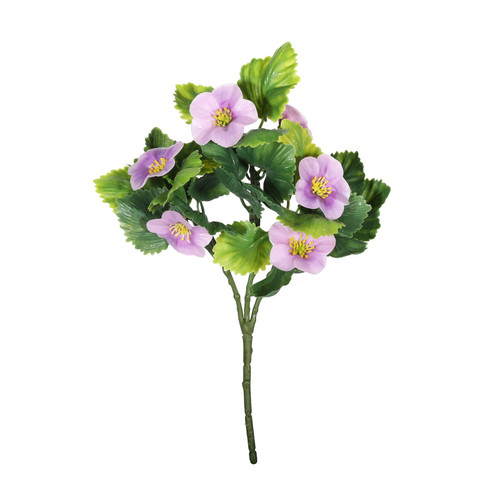 UV Exterior Lilac Junglist Pansy Bush (21cm)