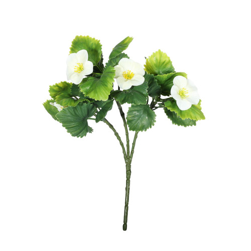 UV Exterior Cream Junglist Pansy Bush (21cm)