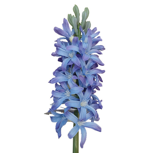 Blue Hyacinth (41.5cm)