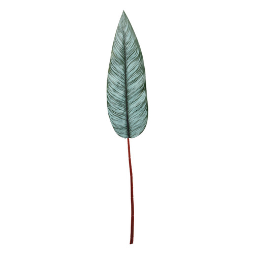 Bird Of Paradise Leaf (83cm)