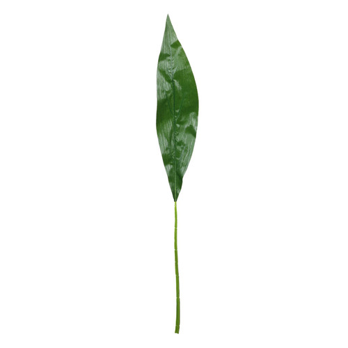 Aspidistra Leaf (93cm)