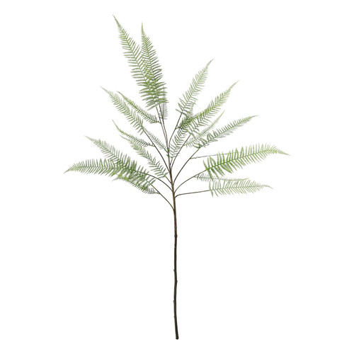 Green Fern Leaf (162cm)