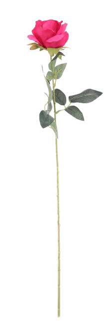 Essential Fuchsia Arundel Rose