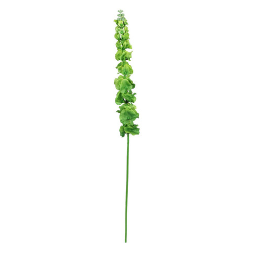 Green Bell of Ireland (79cm)