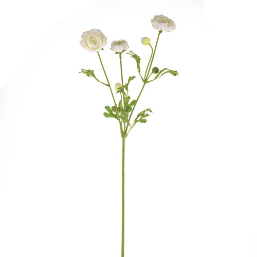 Cream Fiesta Ranunculus (66cm)