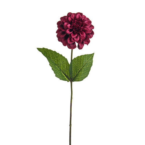 Burgundy Olivia Zinnia Stem (46cm)