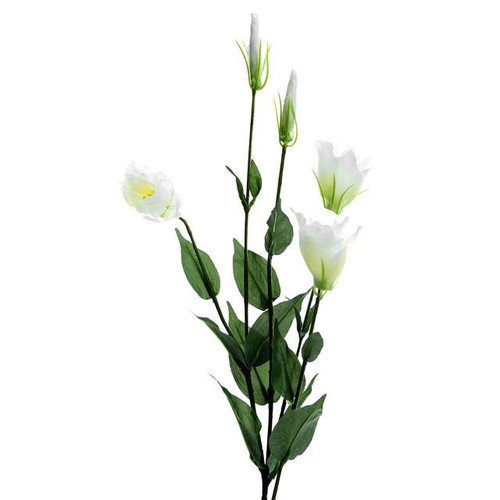 Ivory Lisianthus Spray (80cm)