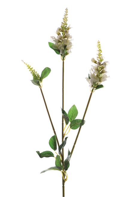 Cream Physostegia Spray (63cm)