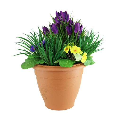 Purple & Yellow Tulip Patio Planter