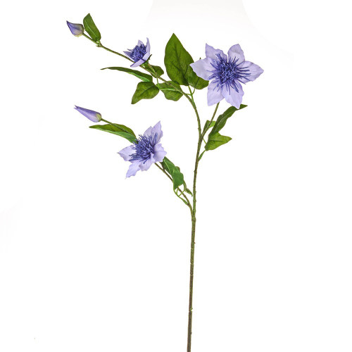 Lilac Elsa Clematis (79cm)