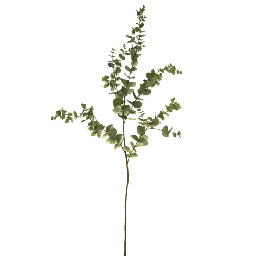 Green Eucalyptus Spray (145cm)
