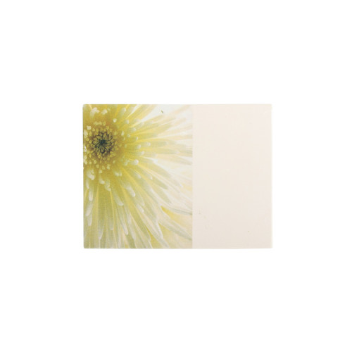Cream Flower Blank Florist Cards (Pack of 50)