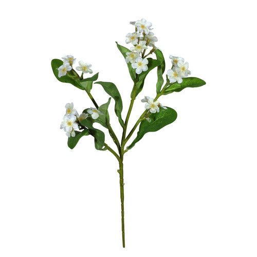 Cream Forget-Me-Not (24cm)