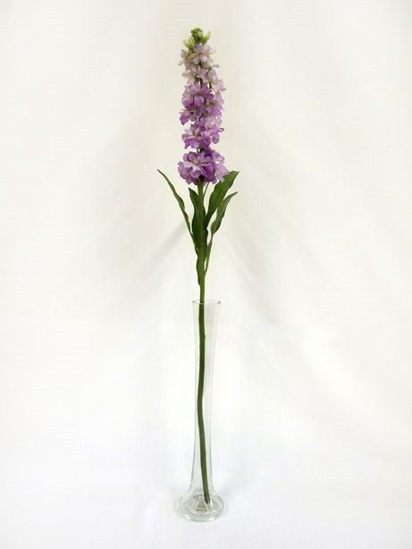 Lavender Stocks (87cm)
