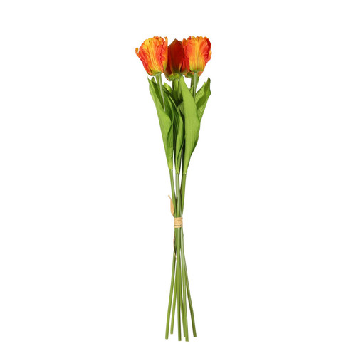 Essential Orange Small Parrot Tulip Bunch (6 Stems)