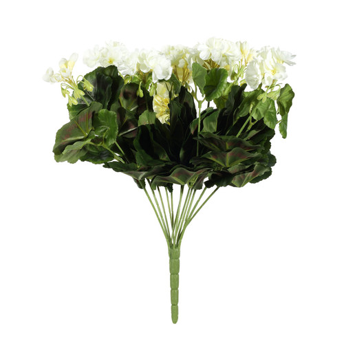 Cream Geranium Bush