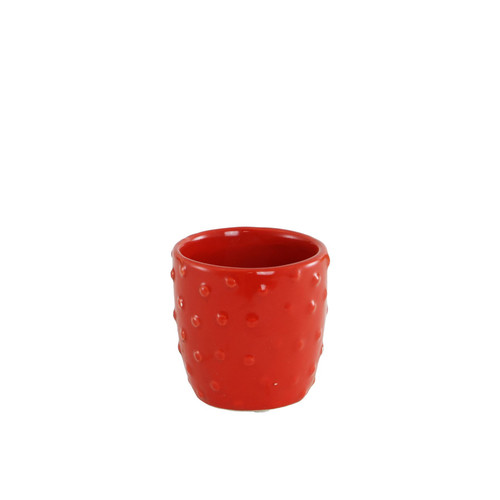 Red Fruit Face Plant Pot