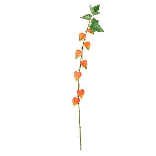 Single Houzuki (91cm)