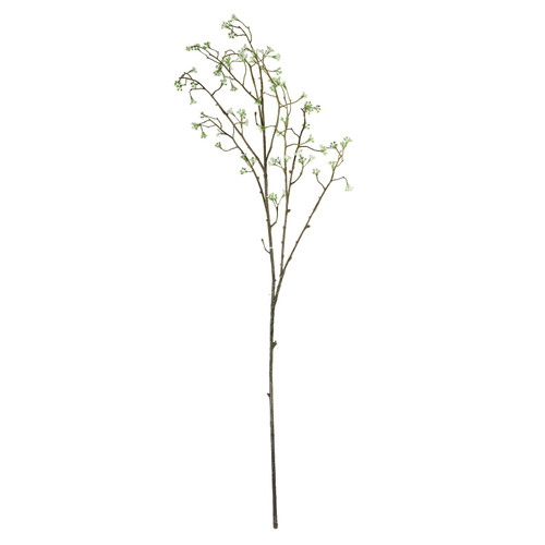 Cream Wild Carrot (91cm)