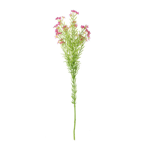 Dark Pink Waxflower (68cm)