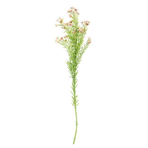 Pink Waxflower Flower (68cm)