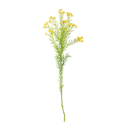 Waxflower Flower Yellow (68cm)