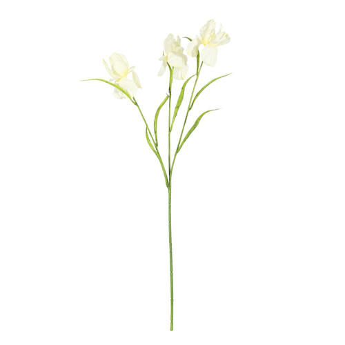 Yellow Iris Spray (60cm)