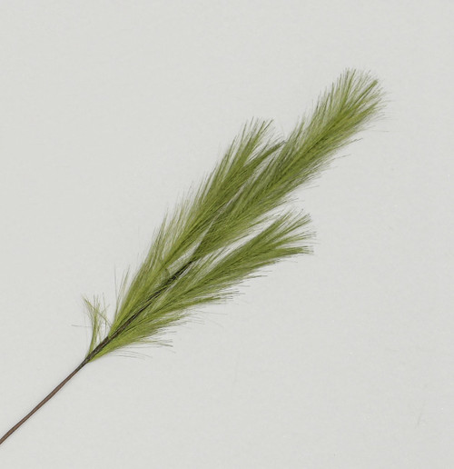 Green Pampas Grass Spray (82cm)
