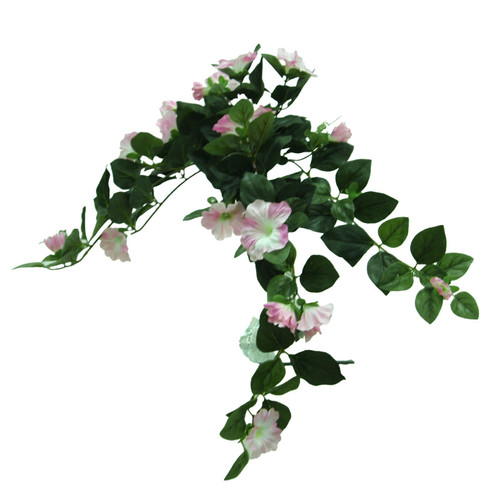 Pink Hanging Petunia Vine