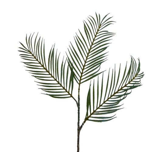 Palm Leaf x3 (84cm)