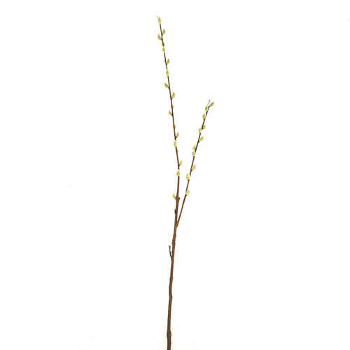 Pussy Willow Stem (100cm)