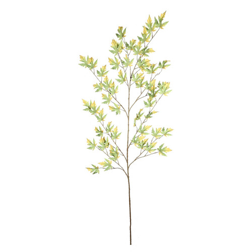 Maple Leaf Green (172cm)
